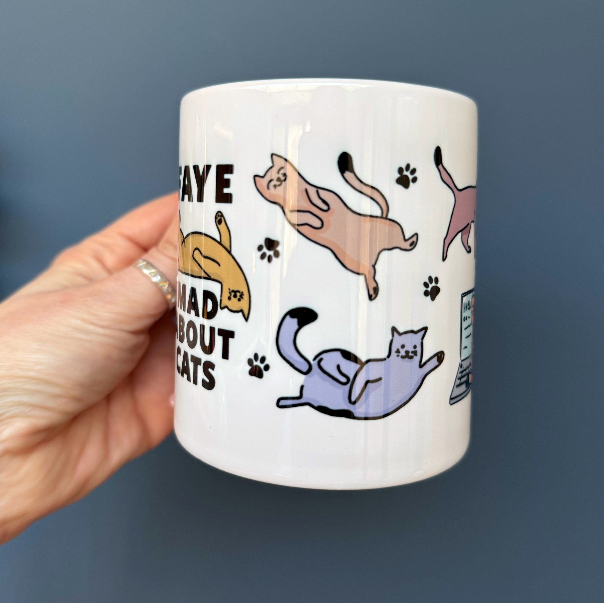 Cat Lover China Mug With Illustrations Of Cats