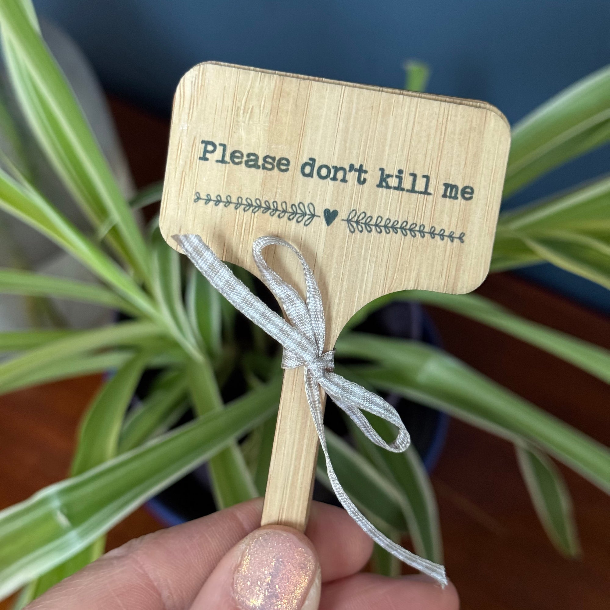 Funny House Plant Message Marker, Plant label, Mini Plant bamboo signs