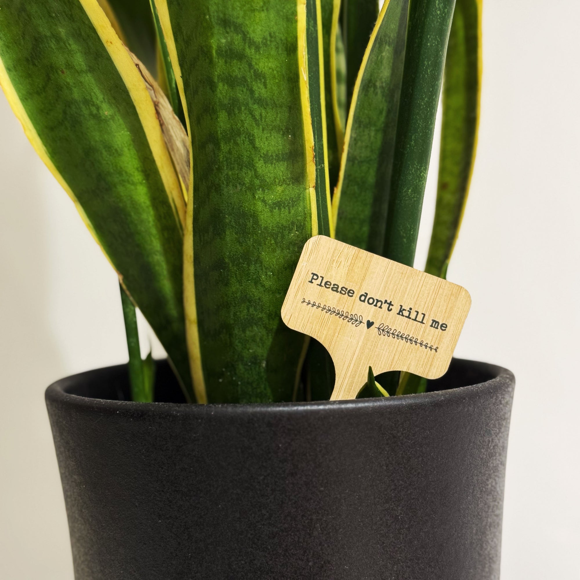 Funny House Plant Message Marker, Plant label, Mini Plant bamboo signs