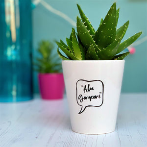 Aloe Gorgeous Plant Pot