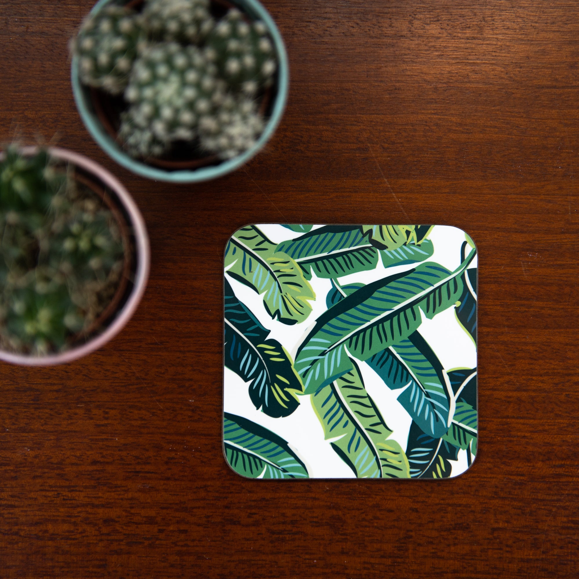 Tropical Coasters Pack Of Four - Hendog Designs