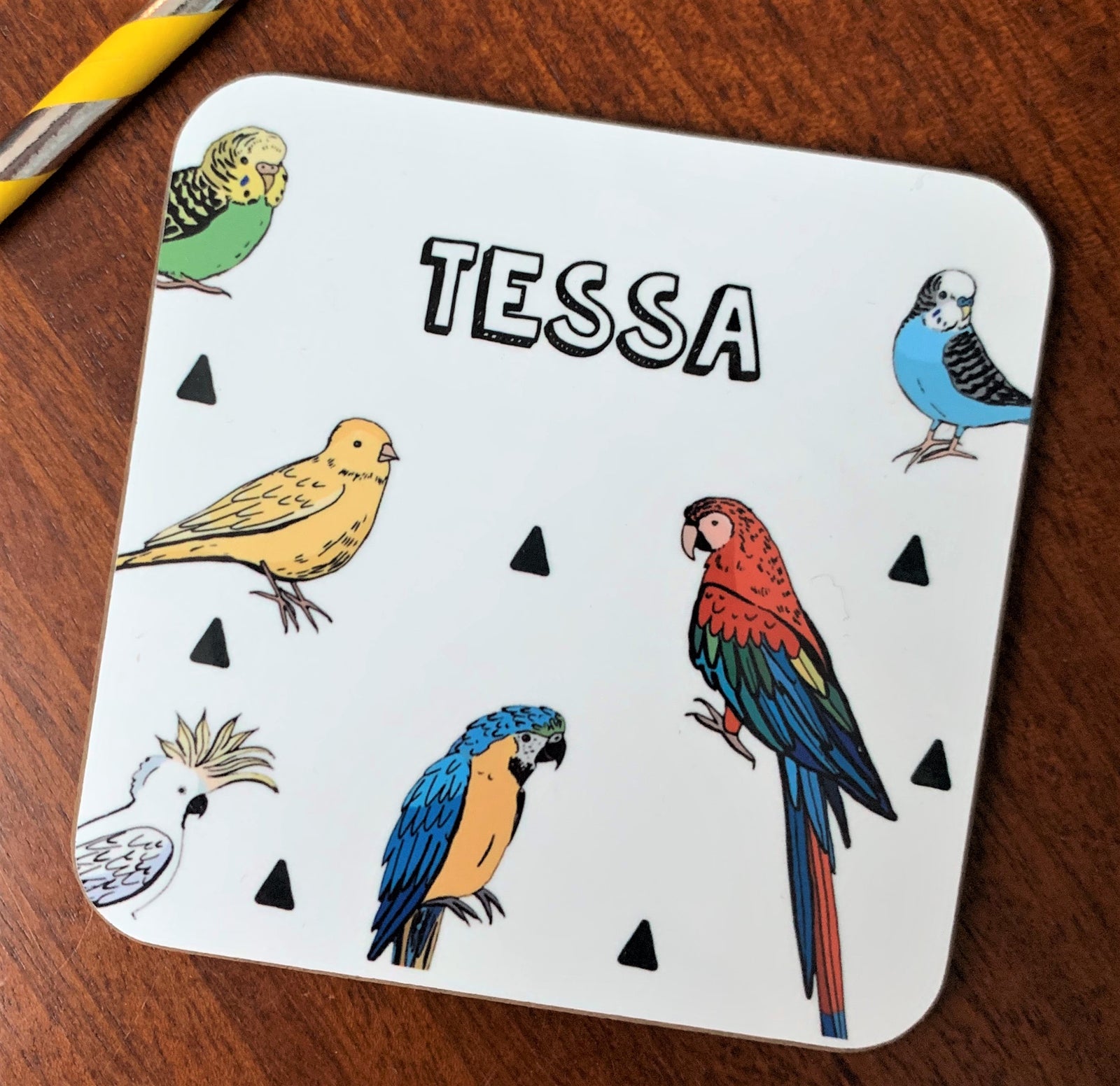 Parrot and Tropical Birds Coaster - Hendog Designs