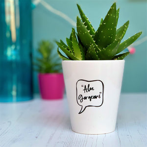 'Aloe Gorgeous' Ceramic Plant Pot