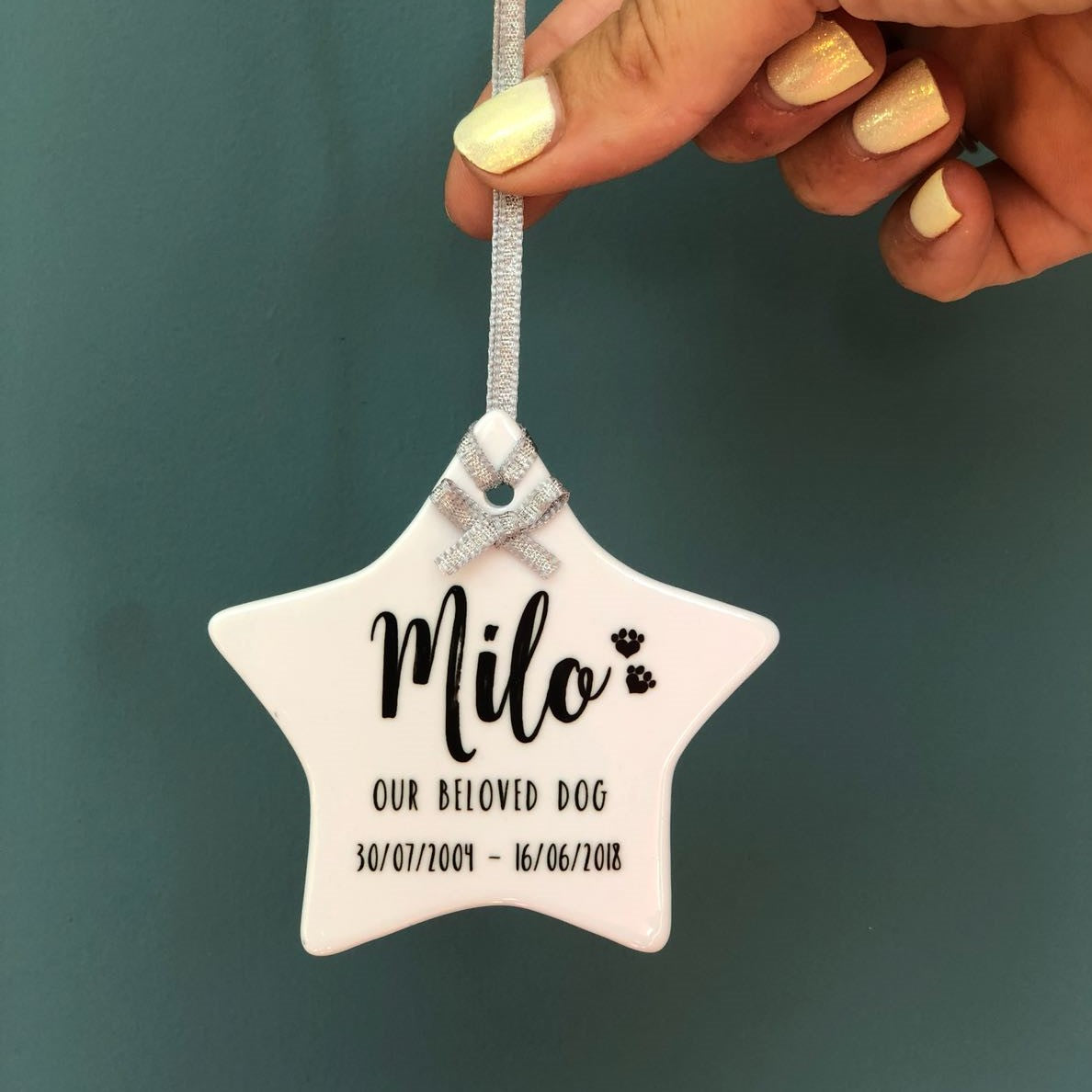 Pet Memorial Hanging Star Decoration - Hendog Designs