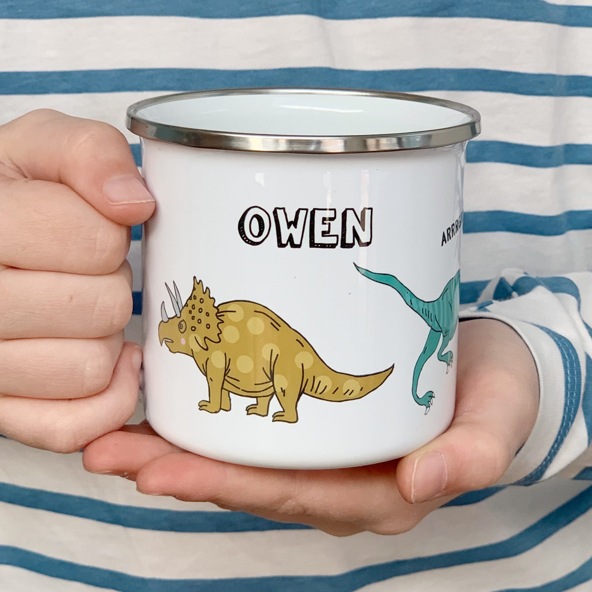 Dinosaur Enamel Mug